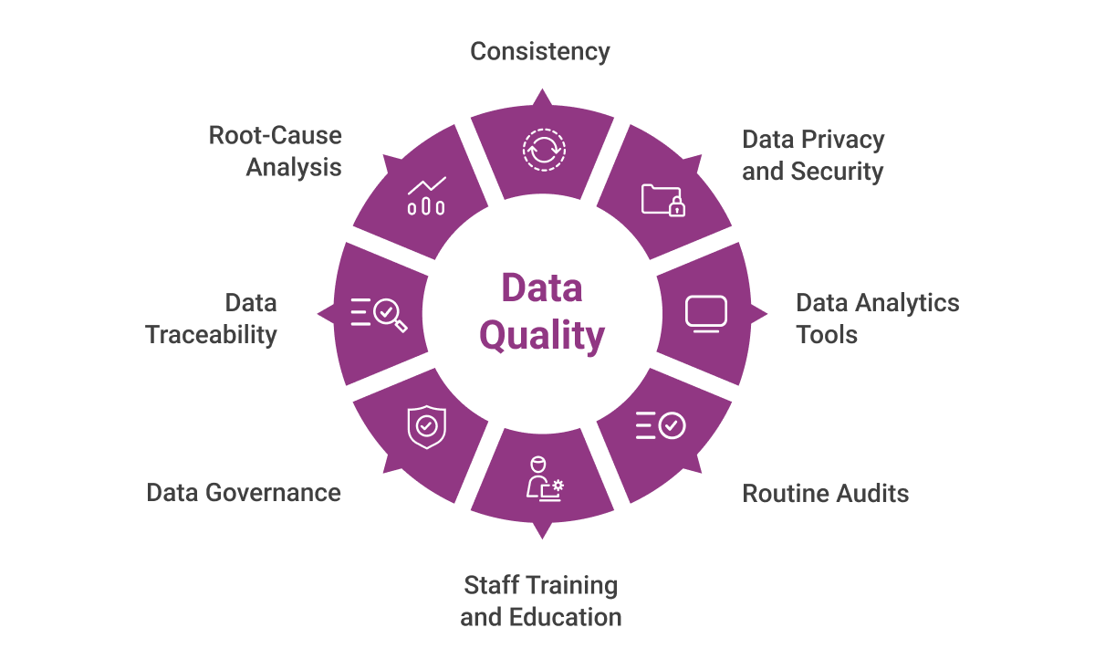 Safeguards to Improve Data Quality in Healthcare Systems